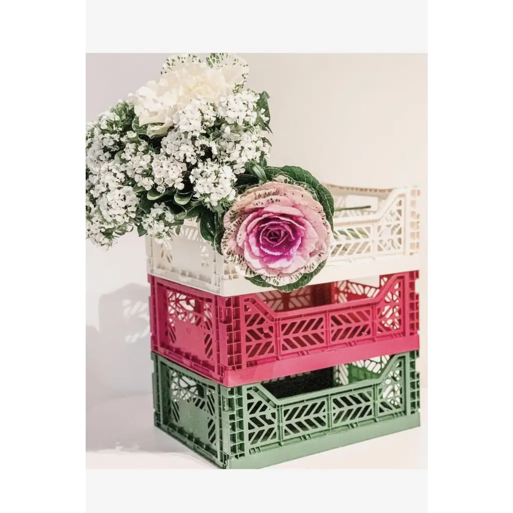 Foldable Storage Bins, Plastic Crate for Storage, Collapsible Crate, Utility Stackable Box Medium Almond Green - Luna Crates